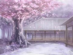 旧樱花动漫手机版正规樱花动漫手机版