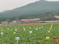 新飞播苹果版新飞扬app苹果下载