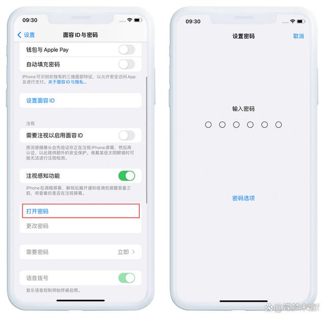 篮微苹果版蓝等灯加速器