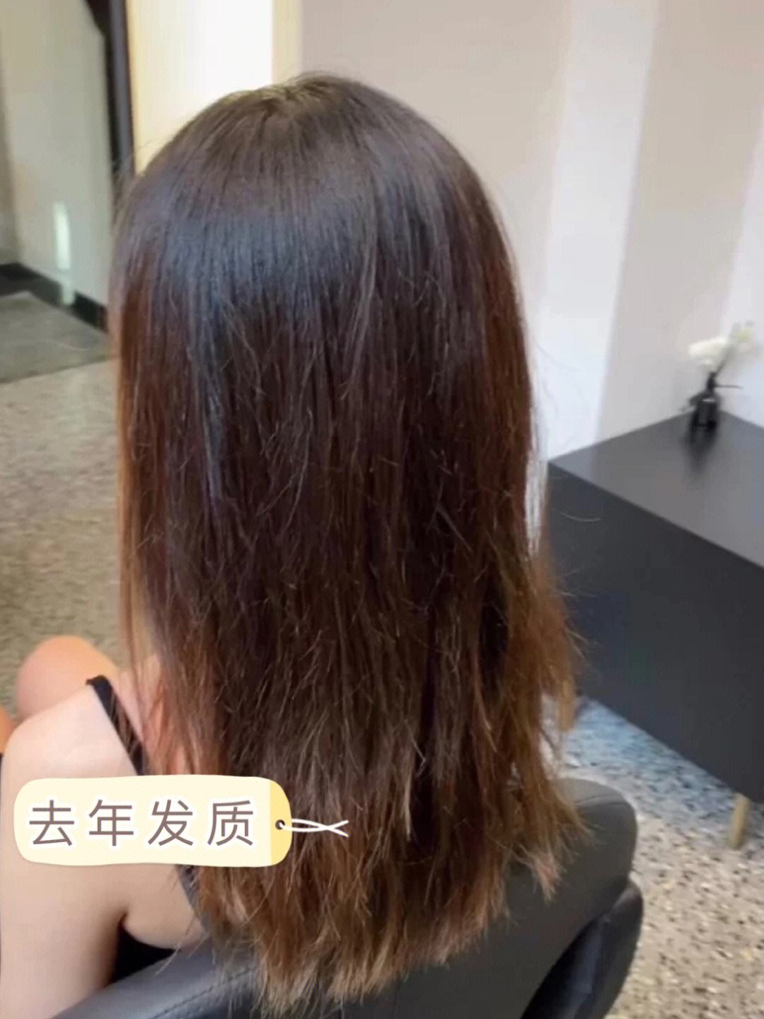 头发护理客户端头发护理logo图片大全