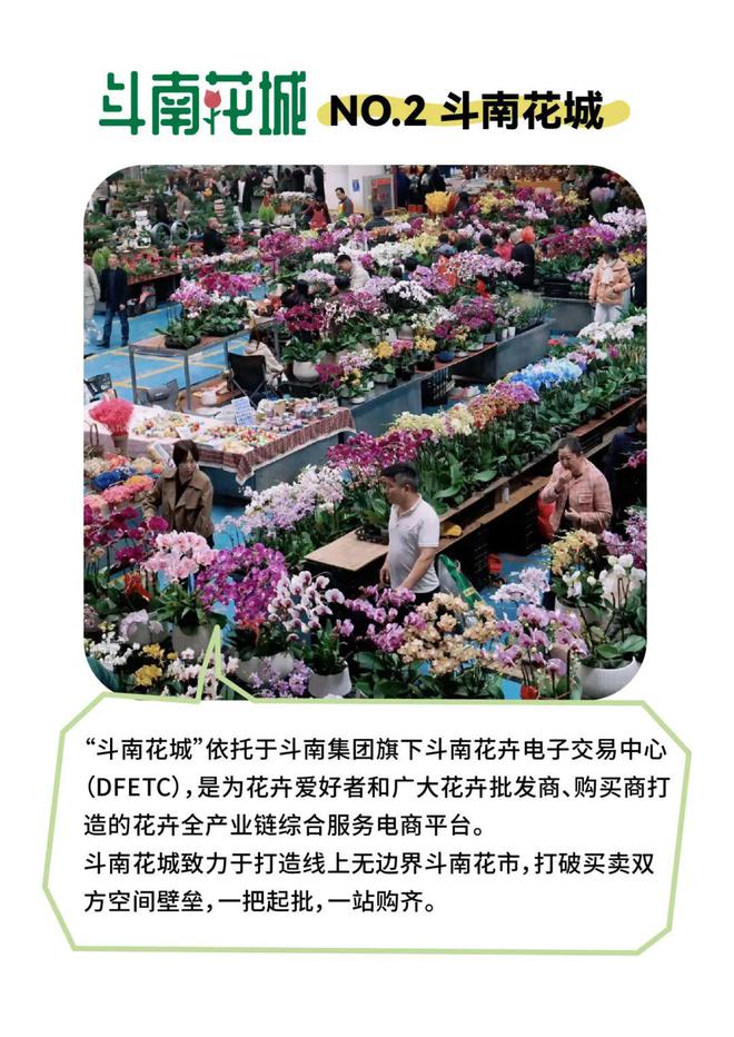 斗南花城苹果版花城为什么让谢怜叫他三郎