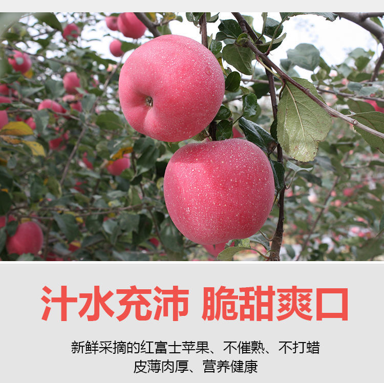 山东医事服务苹果版山东医学教育管理平台入口