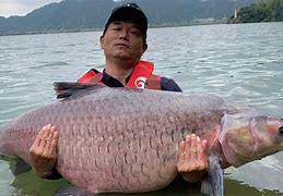钓红点安卓版hiv小红点早期图-第2张图片-太平洋在线下载