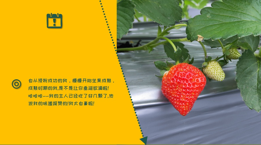 告白帮手安卓版告白周京泽许随-第2张图片-太平洋在线下载
