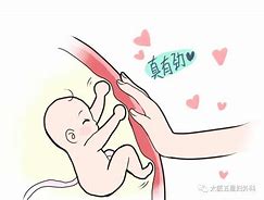 安卓版胎动点点胎动什么时候开始
