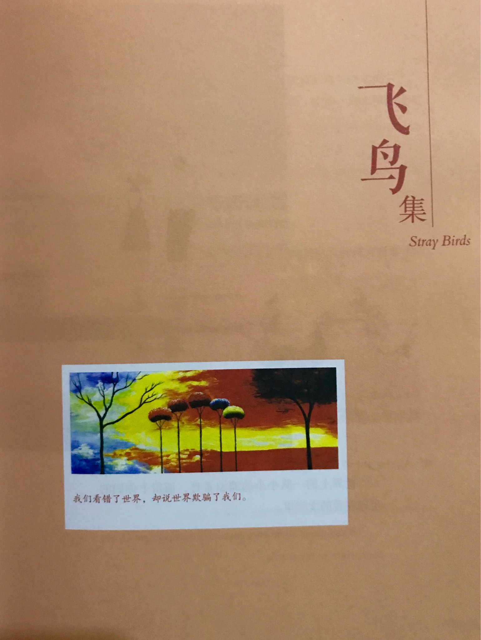 56听书网手机版下载56听书网手机下载v20