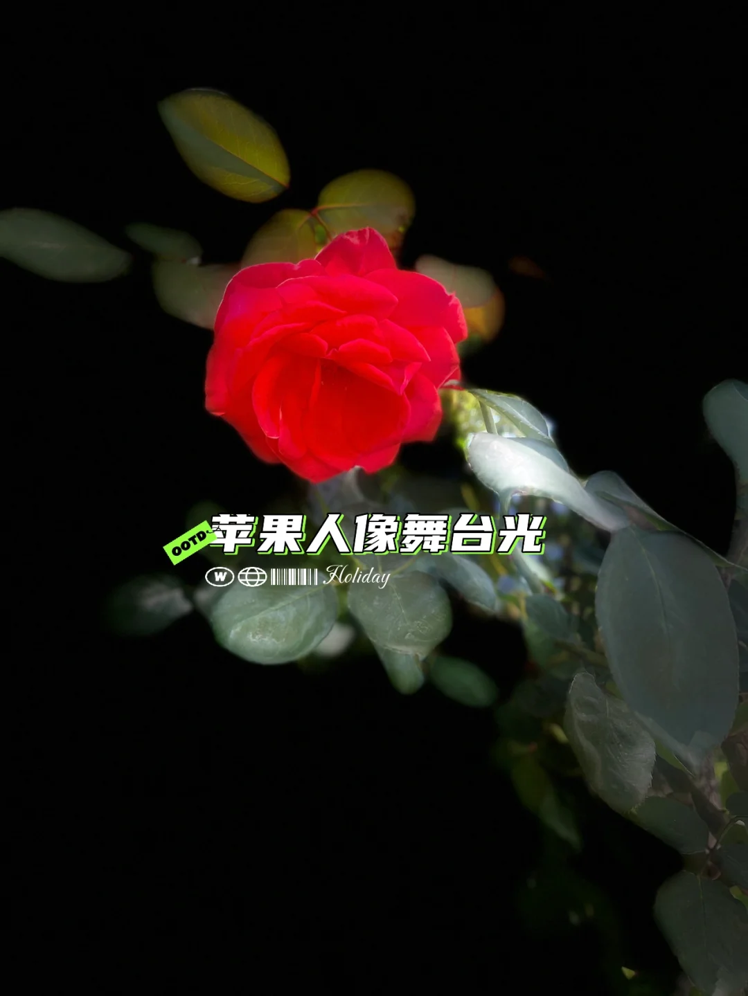 试一试手机版影院且试天下电视剧在线看悠久影院